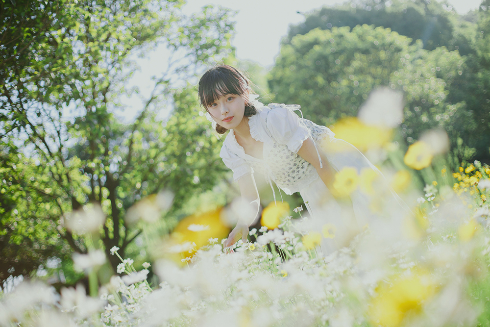 初夏の小雏菊Ⅱ